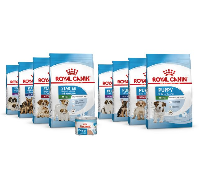 Packshot produits pour chiots en couleur sur fond blanc