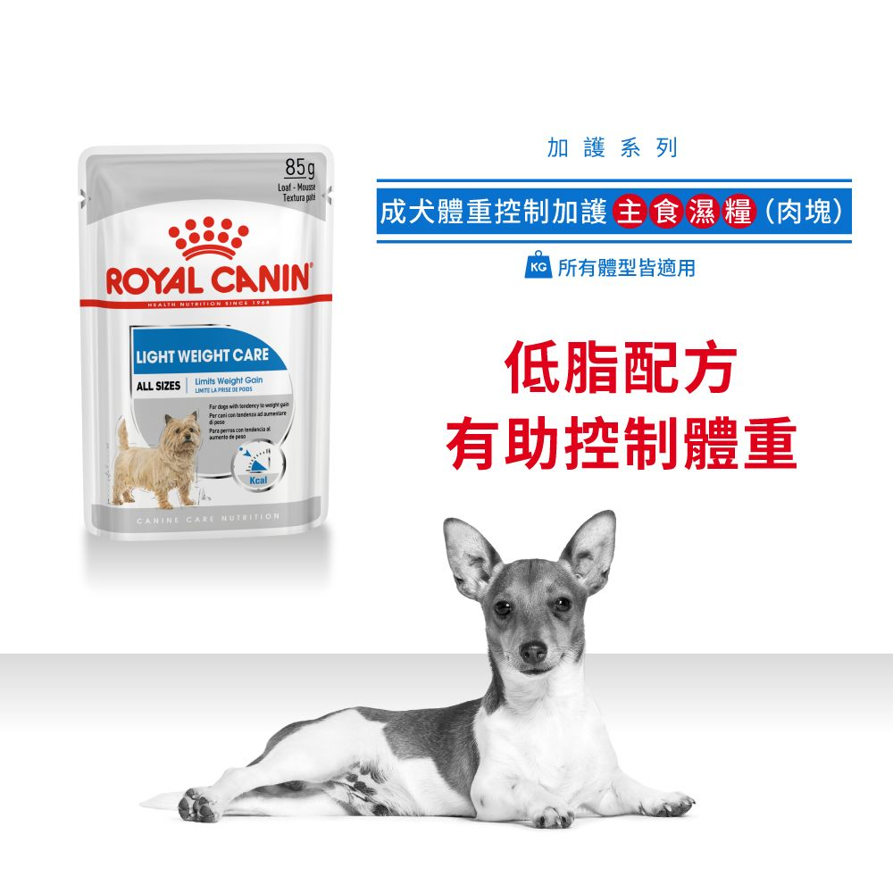 CCN 成犬體重控制加護主食濕糧（肉塊）