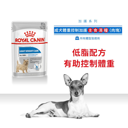Royal-Canin_成犬體重控制加護主食濕糧（肉塊）_正方形_HK_01