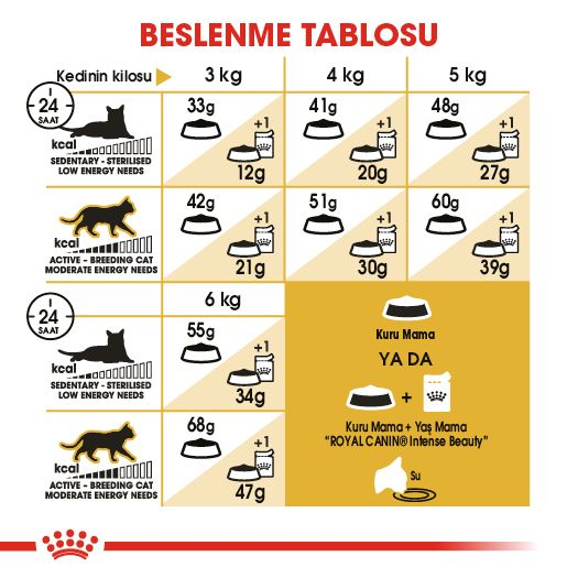 Siamese Adult Yetişkin Kedi Kuru Maması