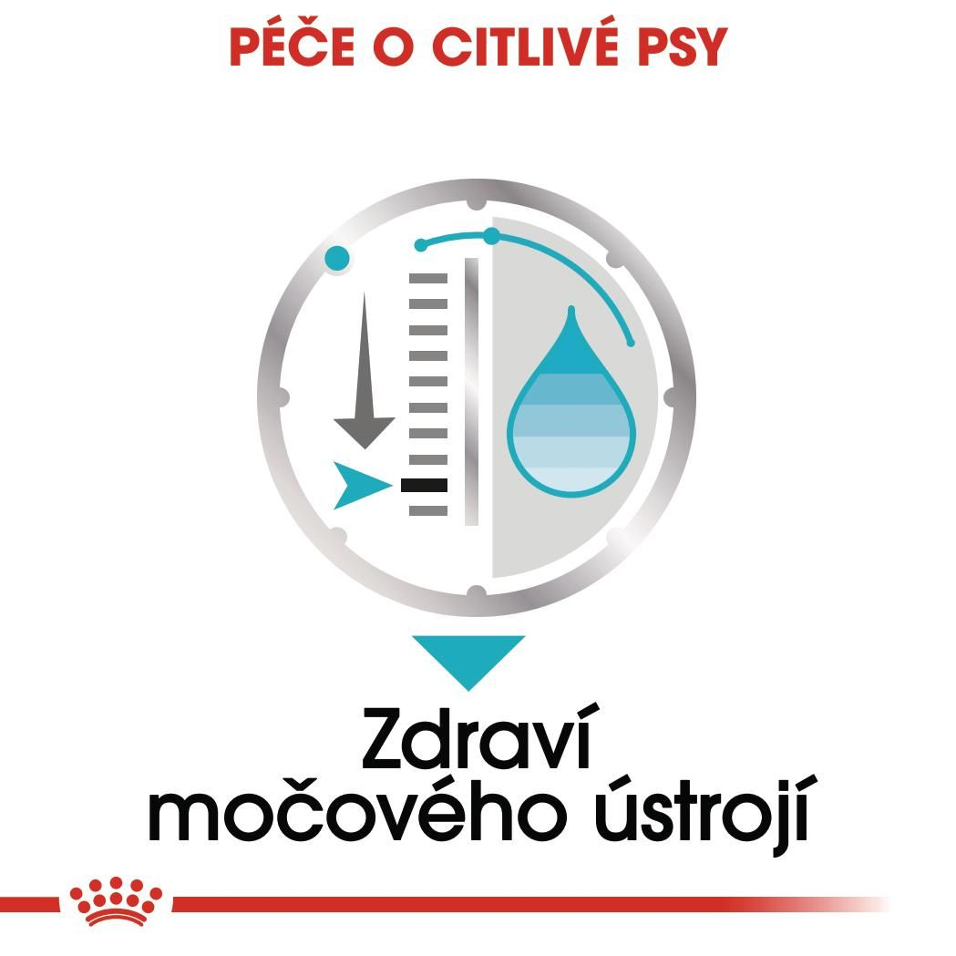 URINARY CARE