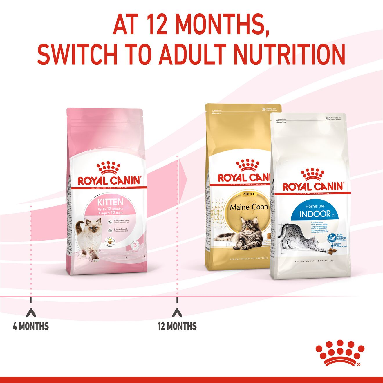 Royal canin second outlet age kitten food