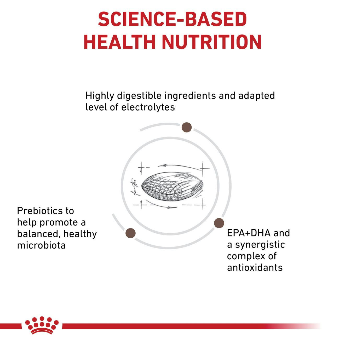 Royal canin outlet gastro high energy