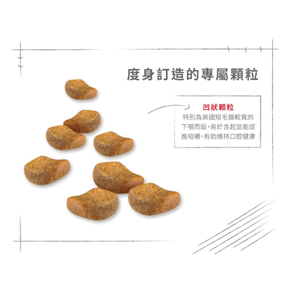 Royal-Canin_英國短毛成貓專屬配方_正方形_HK_04