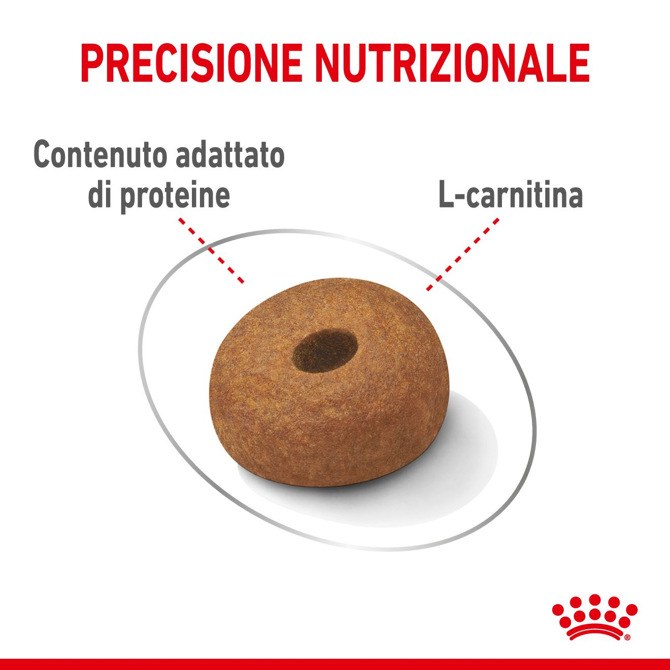 Maxi Light Weight Care