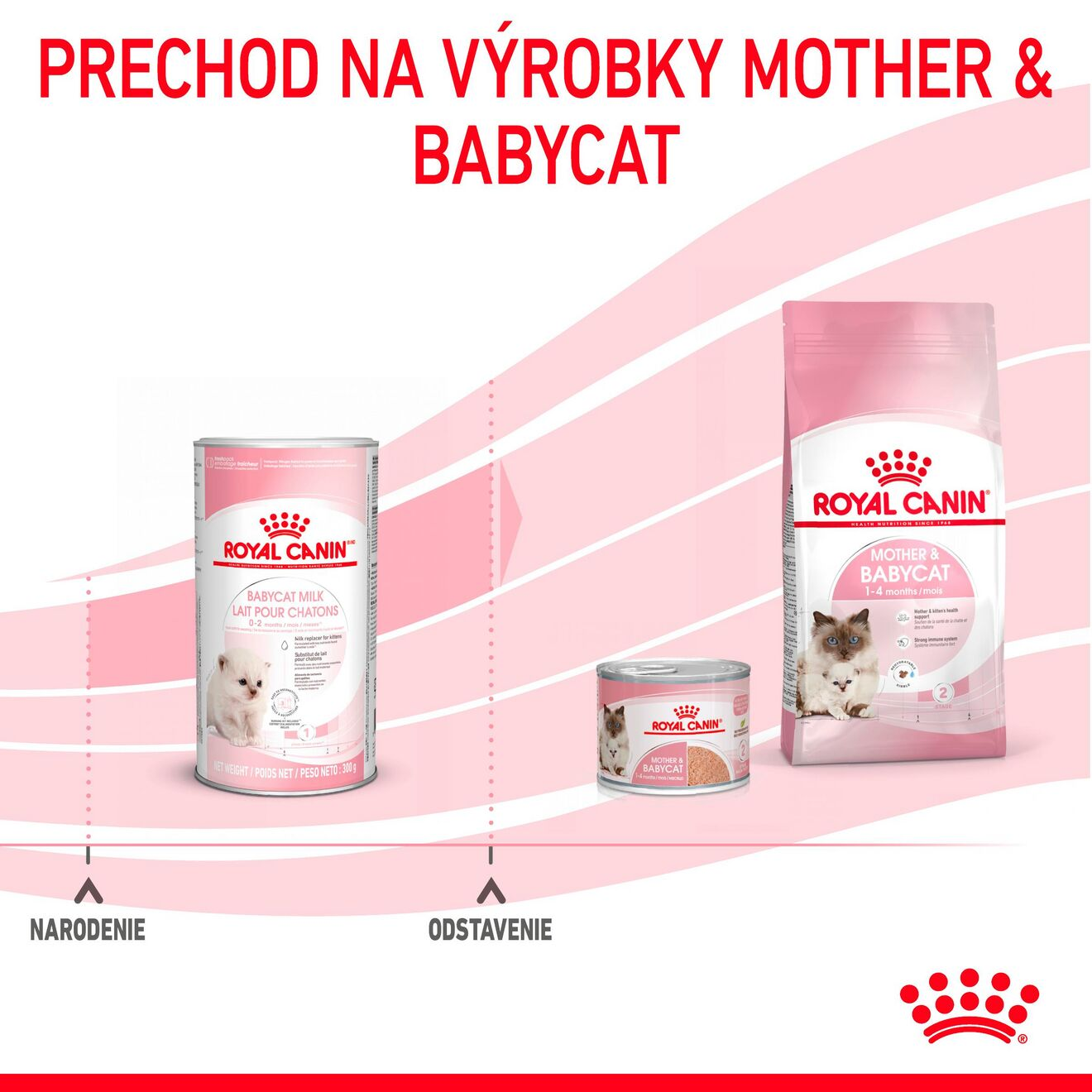 Babycat Milk