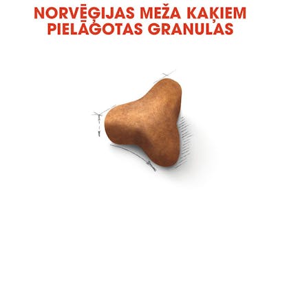 RC_FBN_NorwegianF_CV_Eretailkit_lv_LV (2)
