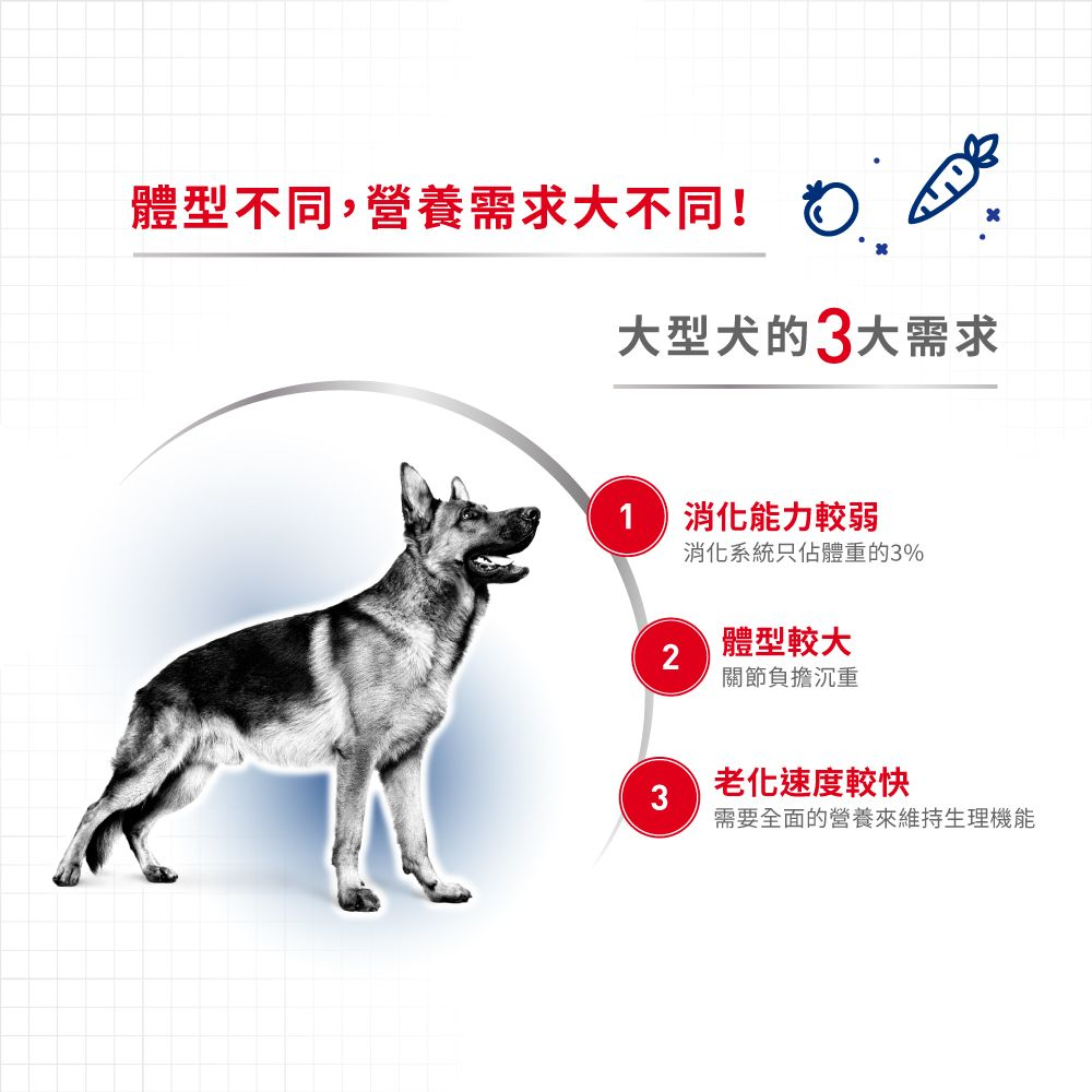 SHN 大型成犬營養主食濕糧(肉汁)