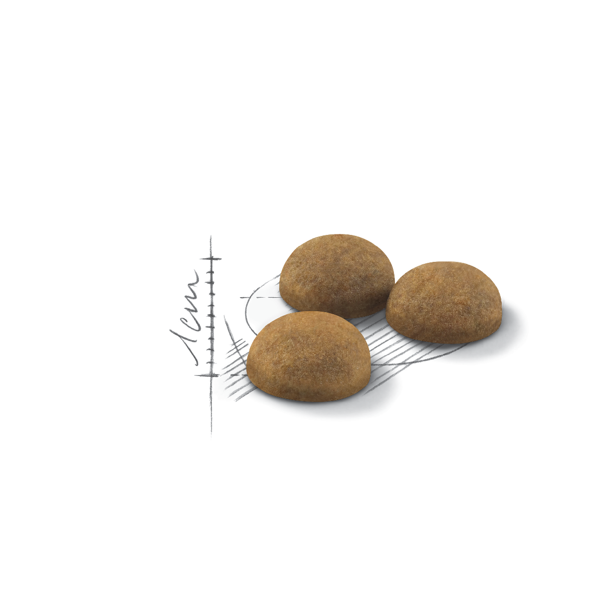 royal canin indoor long hair