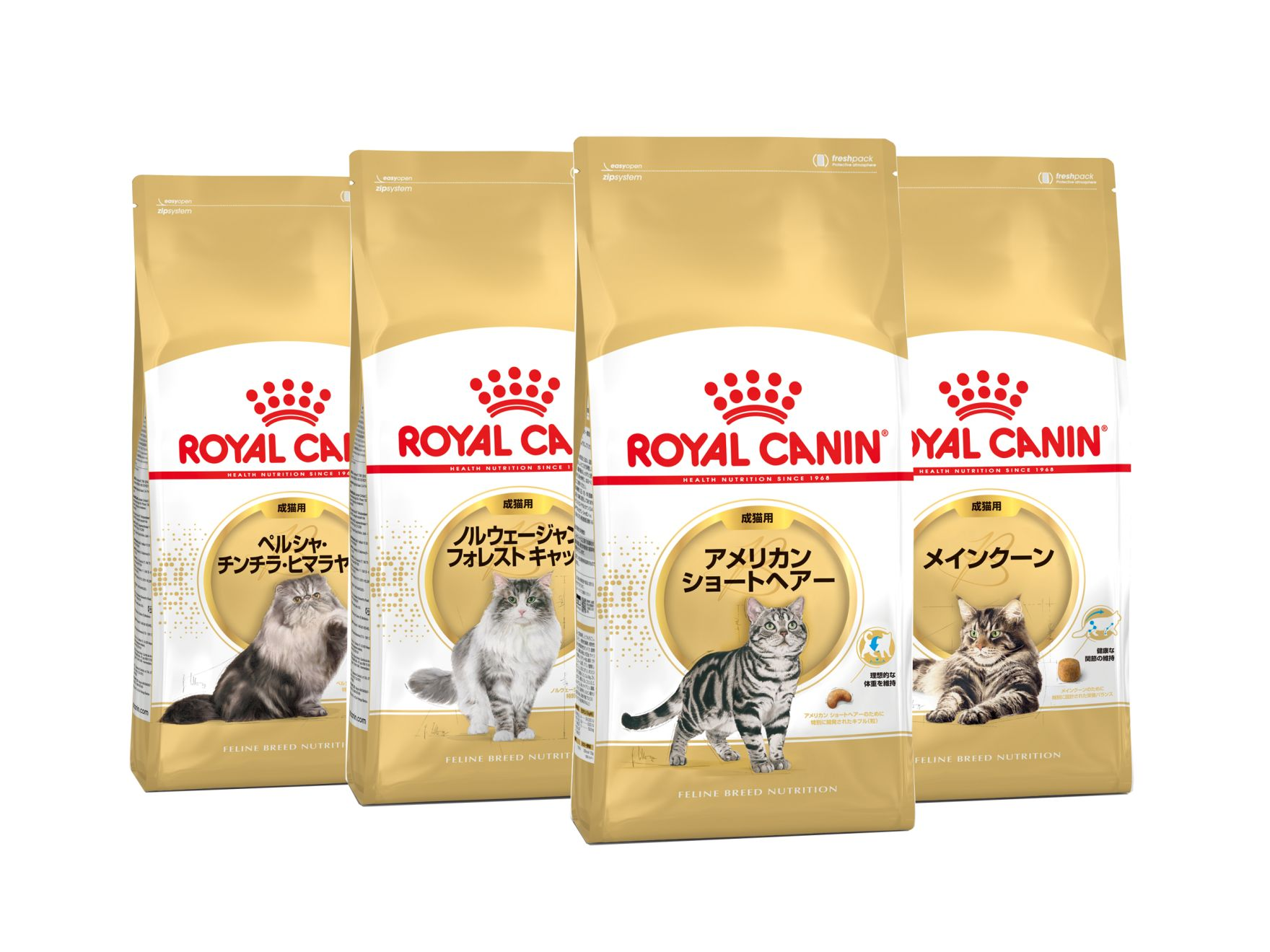 ロイヤルカナン他猫ご飯たくさん ロイヤルカナン セイバー エクシジェント 400g / 味わい・食感で