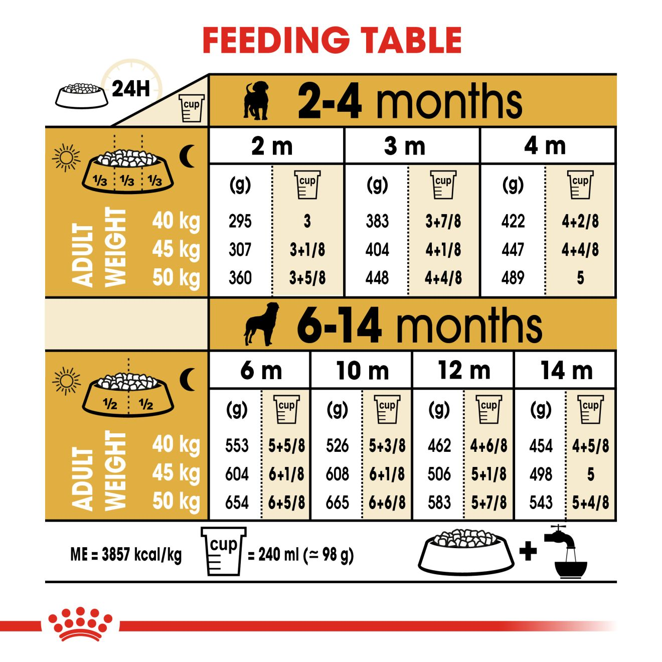 Rottweiler 2025 diet chart