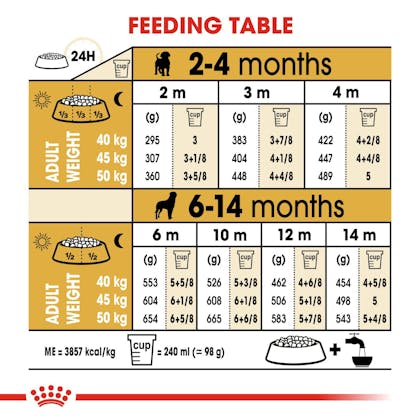 what can i not feed my rottweiler