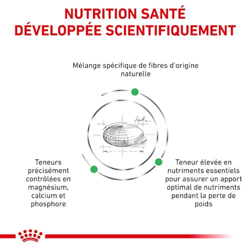 Satiety   Weight Management Small Dogs