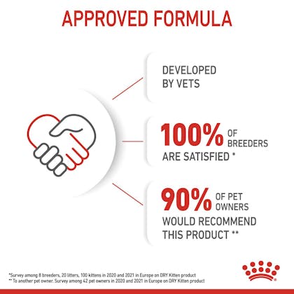 SOL - HERO IMAGE - KITTEN DRY B1 - CV9