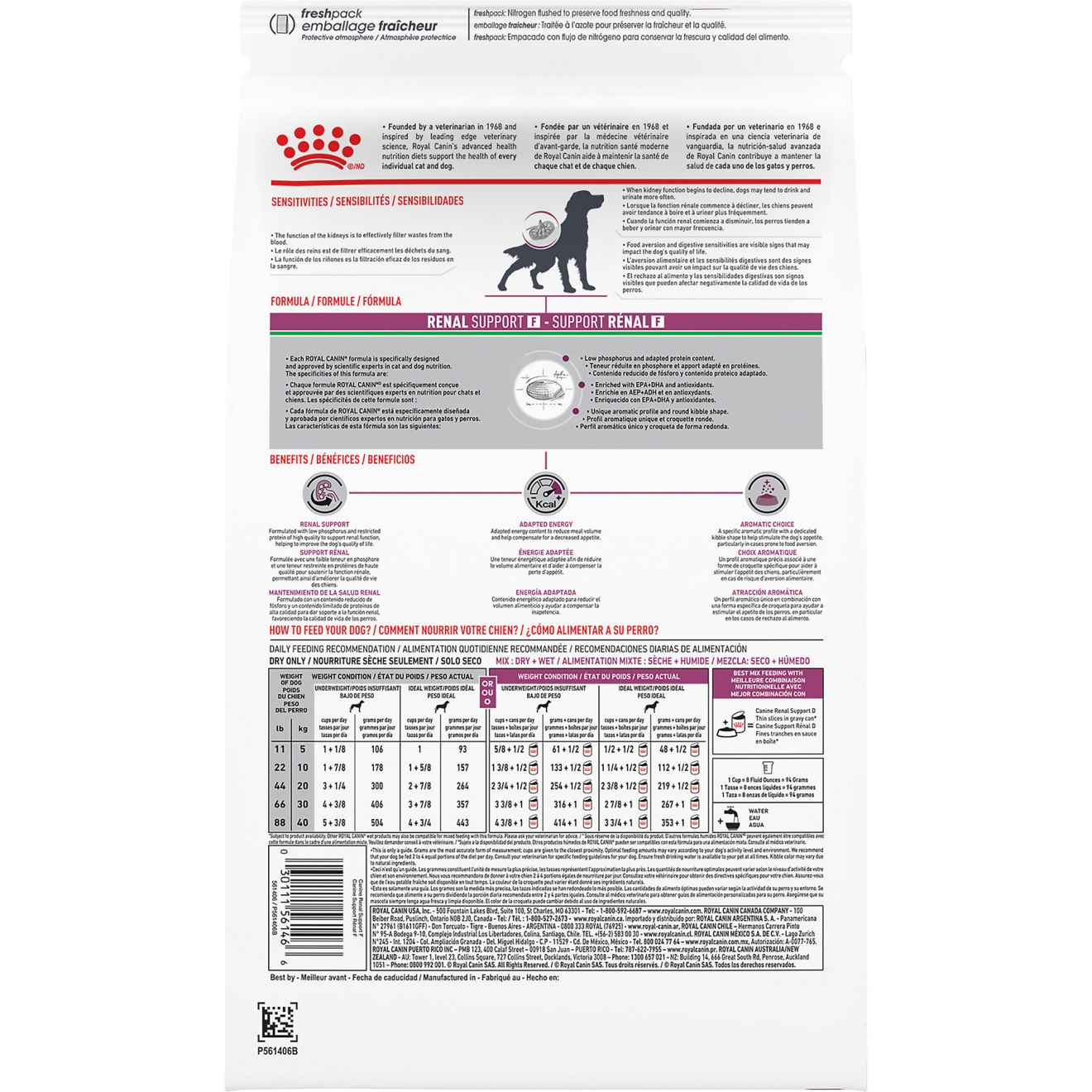 Royal canin veterinary diet renal support best sale a dry dog food