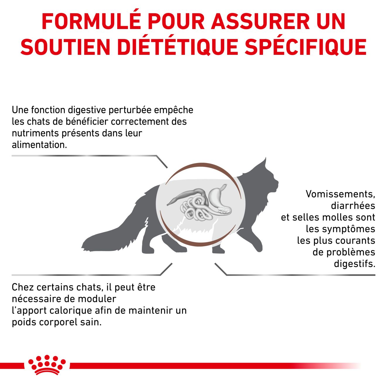 Gastrointestinal Moderate Calorie