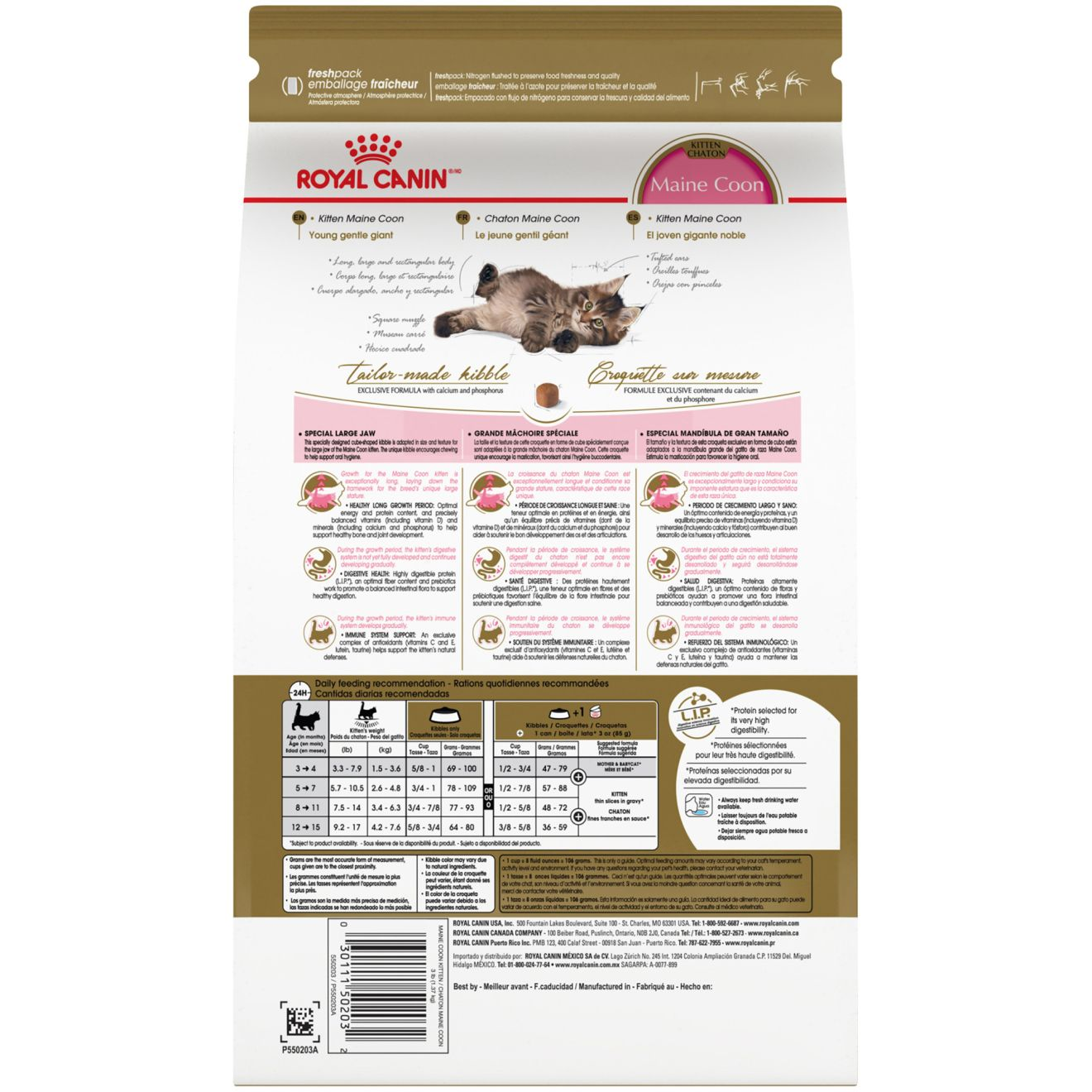 Maine Coon Kitten Dry Cat Food