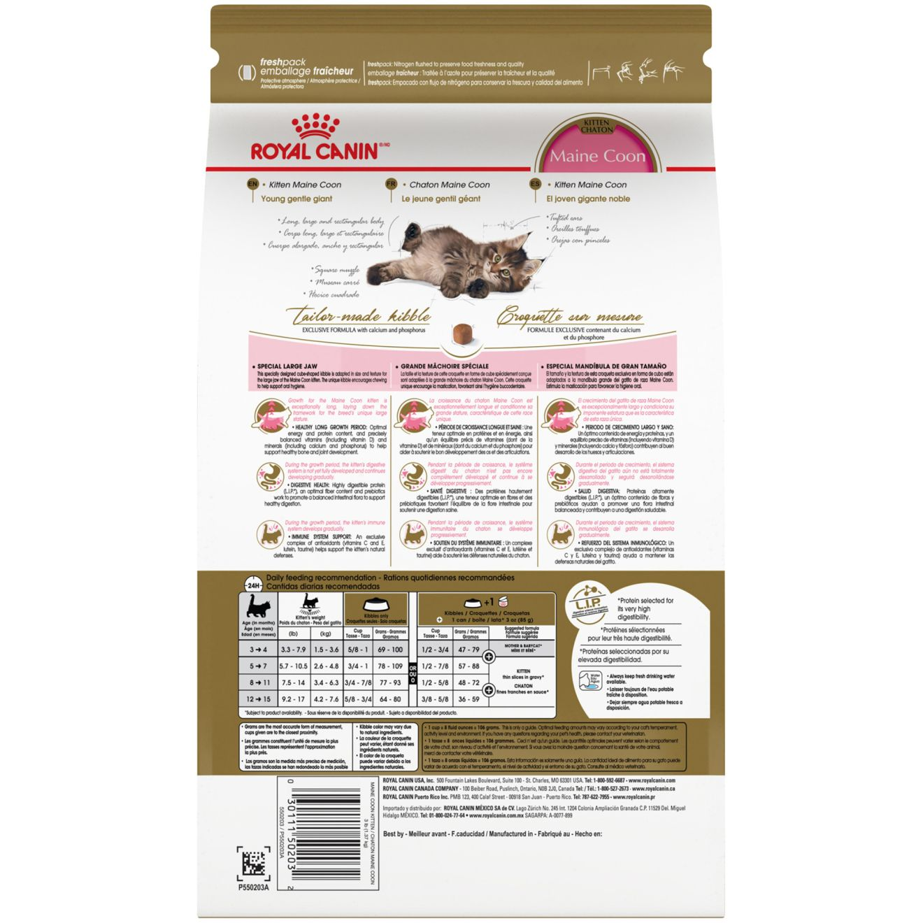 Maine Coon Kitten Dry Cat Food Royal Canin US