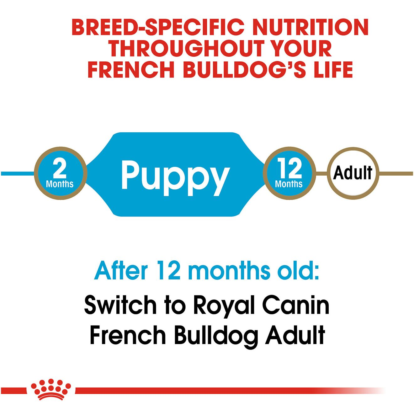 French Bulldog Puppy Dry Dog Food Royal Canin US