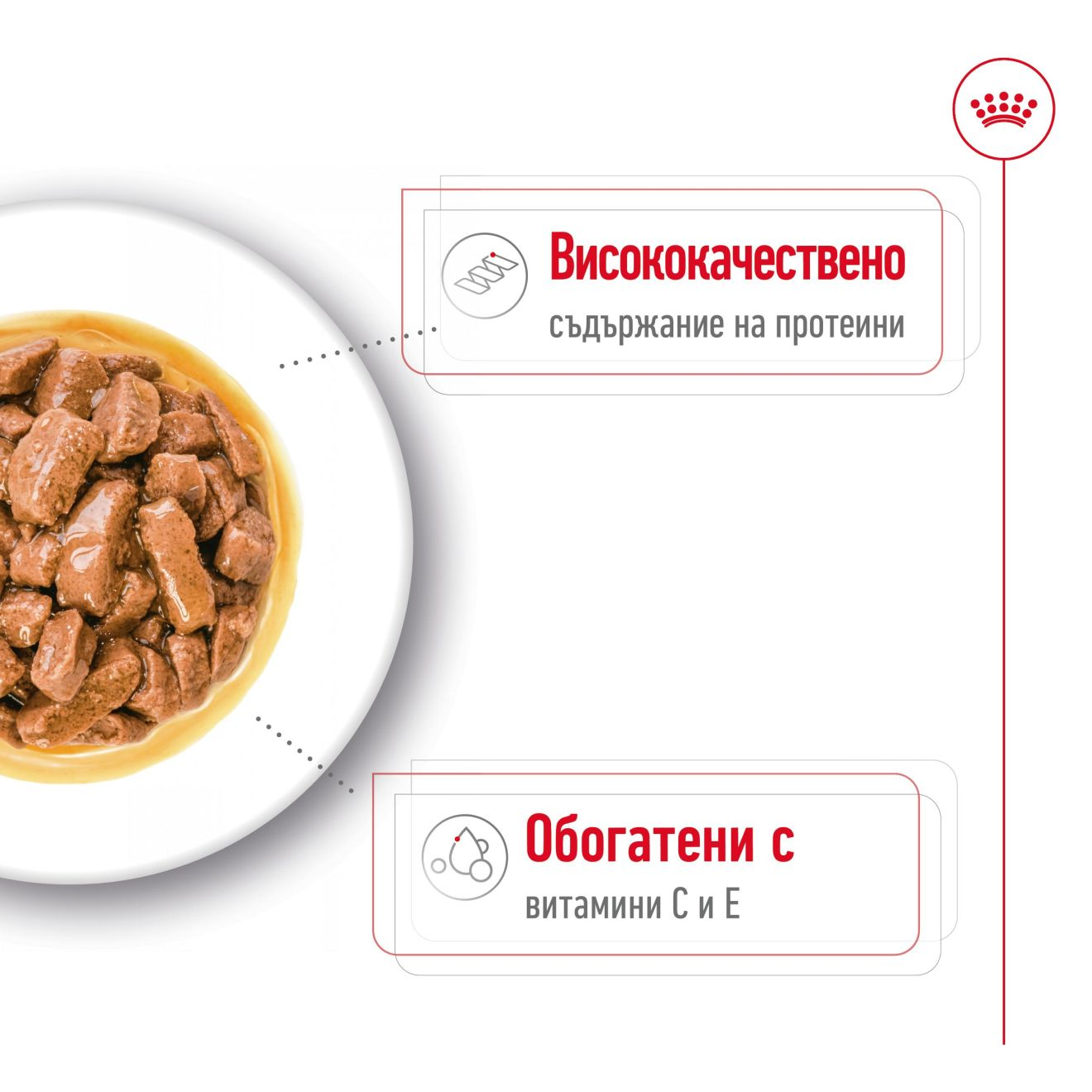 MEDIUM ADULT - CHUNKS IN GRAVY