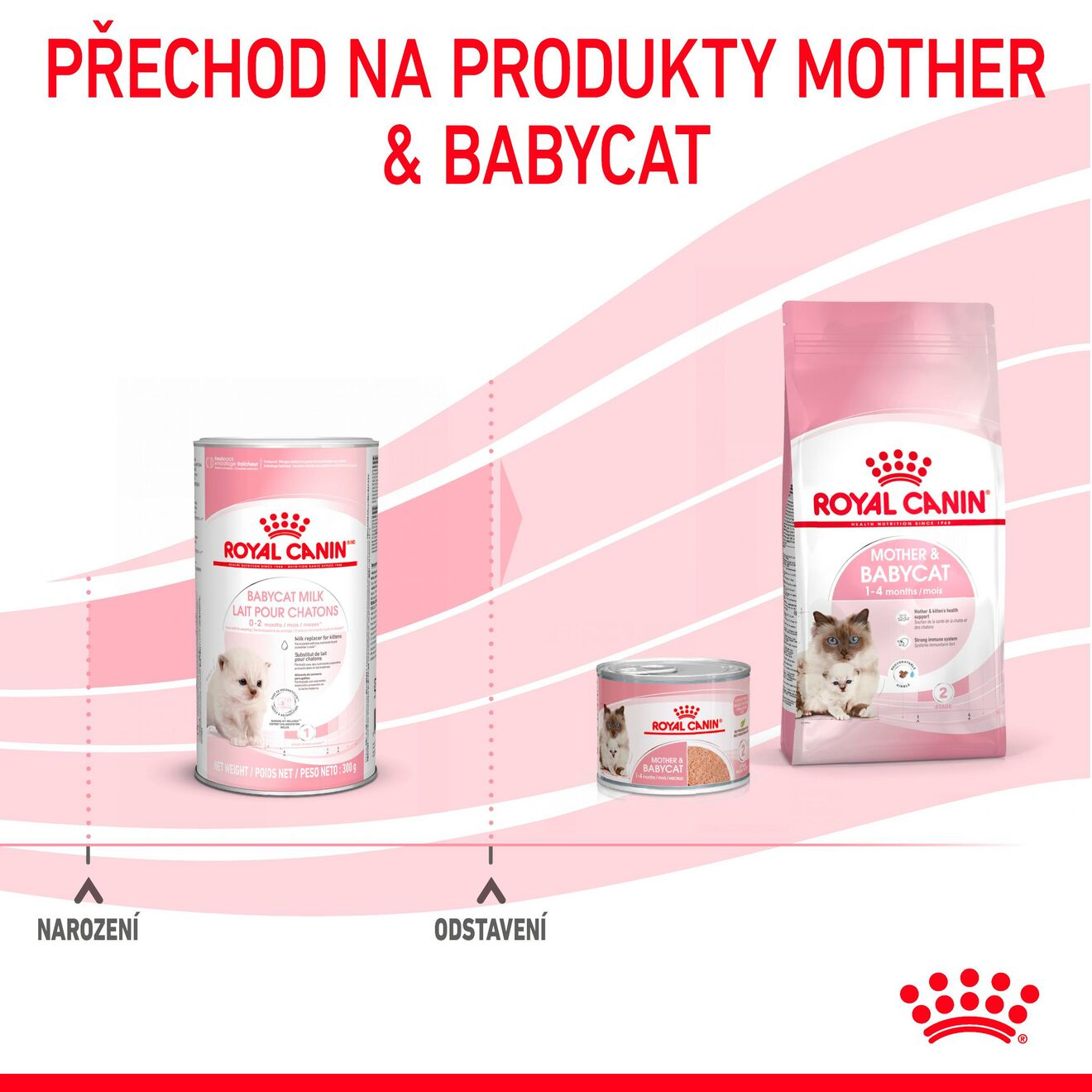 Babycat Milk