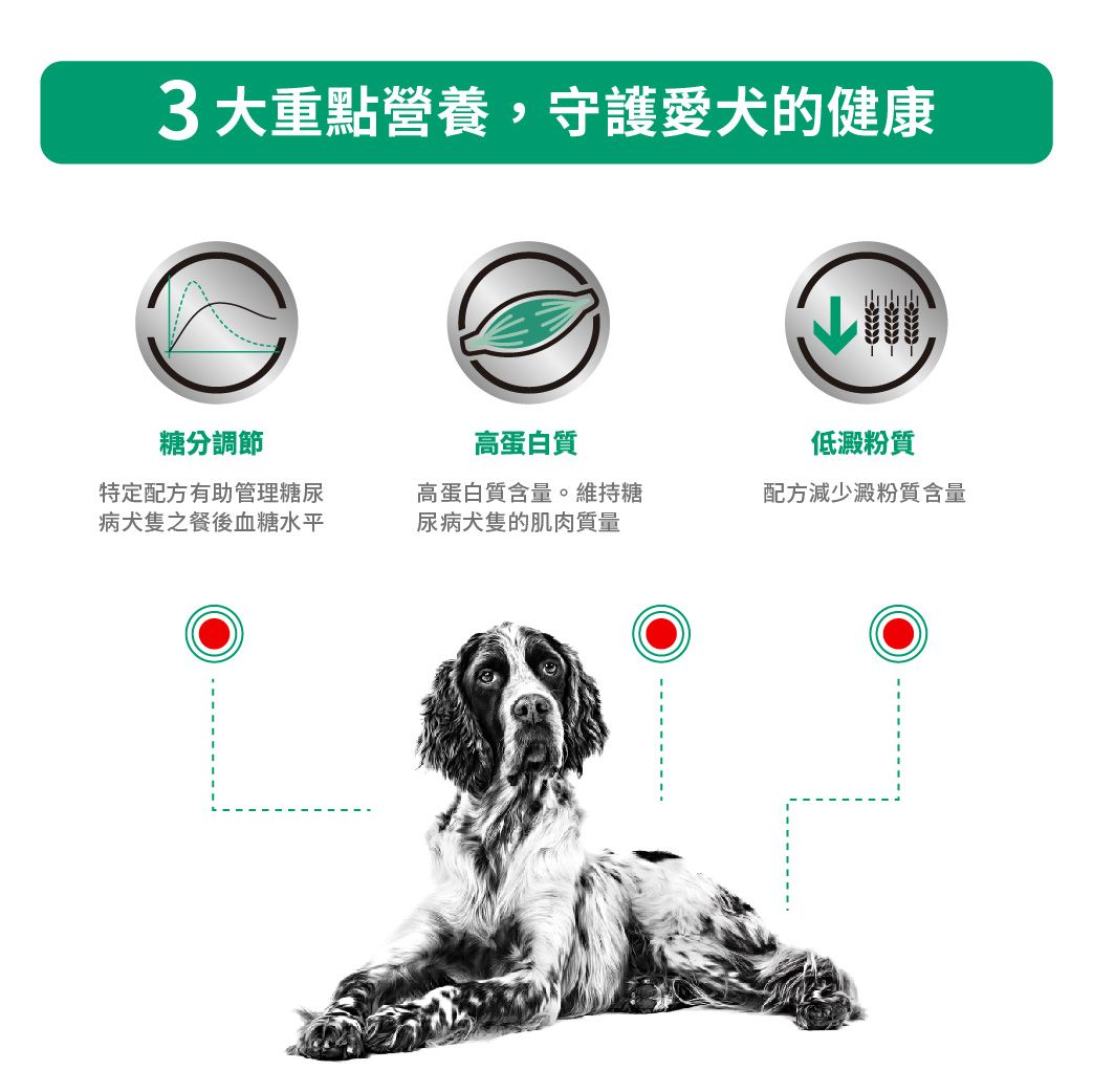 成犬糖尿病處方罐頭