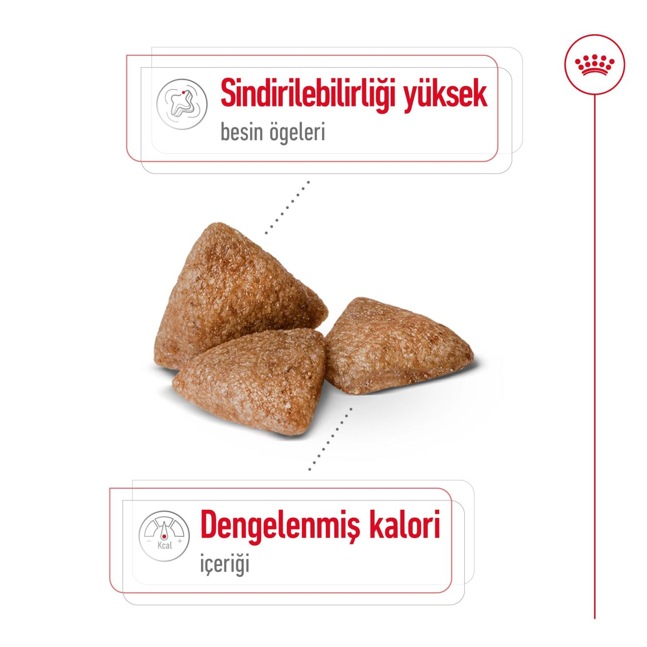 Mini Indoor Adult
