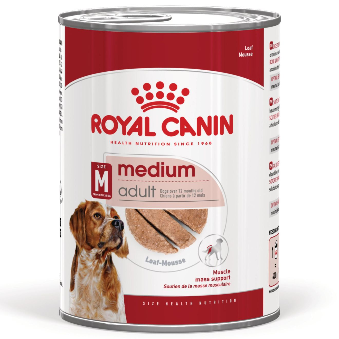 Medium Adult paté