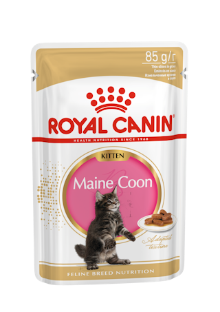 Maine Coon Kitten (в соусе)