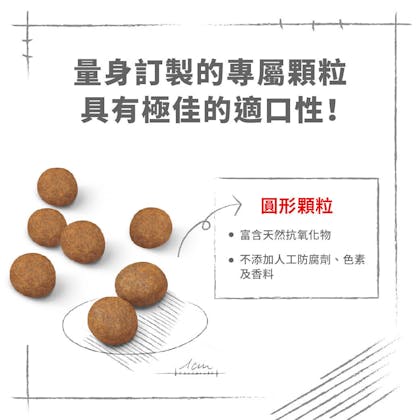 MXP方_４R