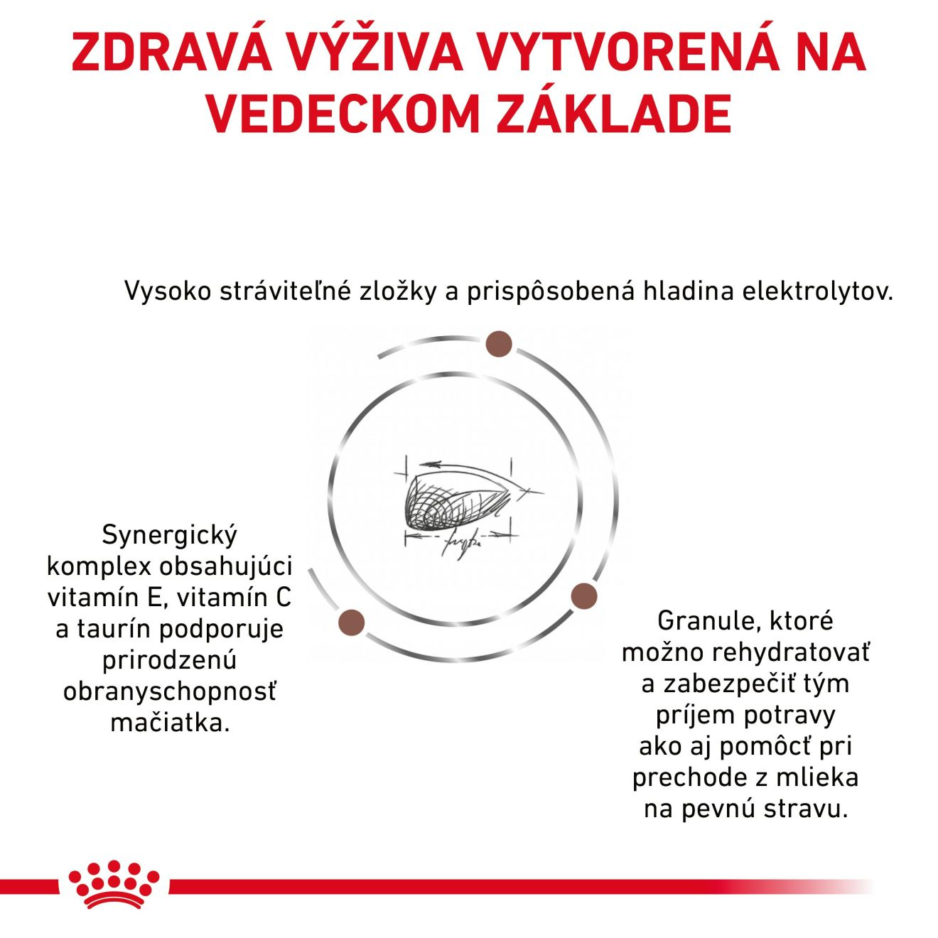 ROYAL CANIN Cat Gastrointestinal Kitten granule pre mačiatka trpiace ochorením tráviaceho traktu