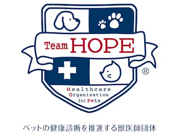 94-japan-local-ca-team-hope-logo