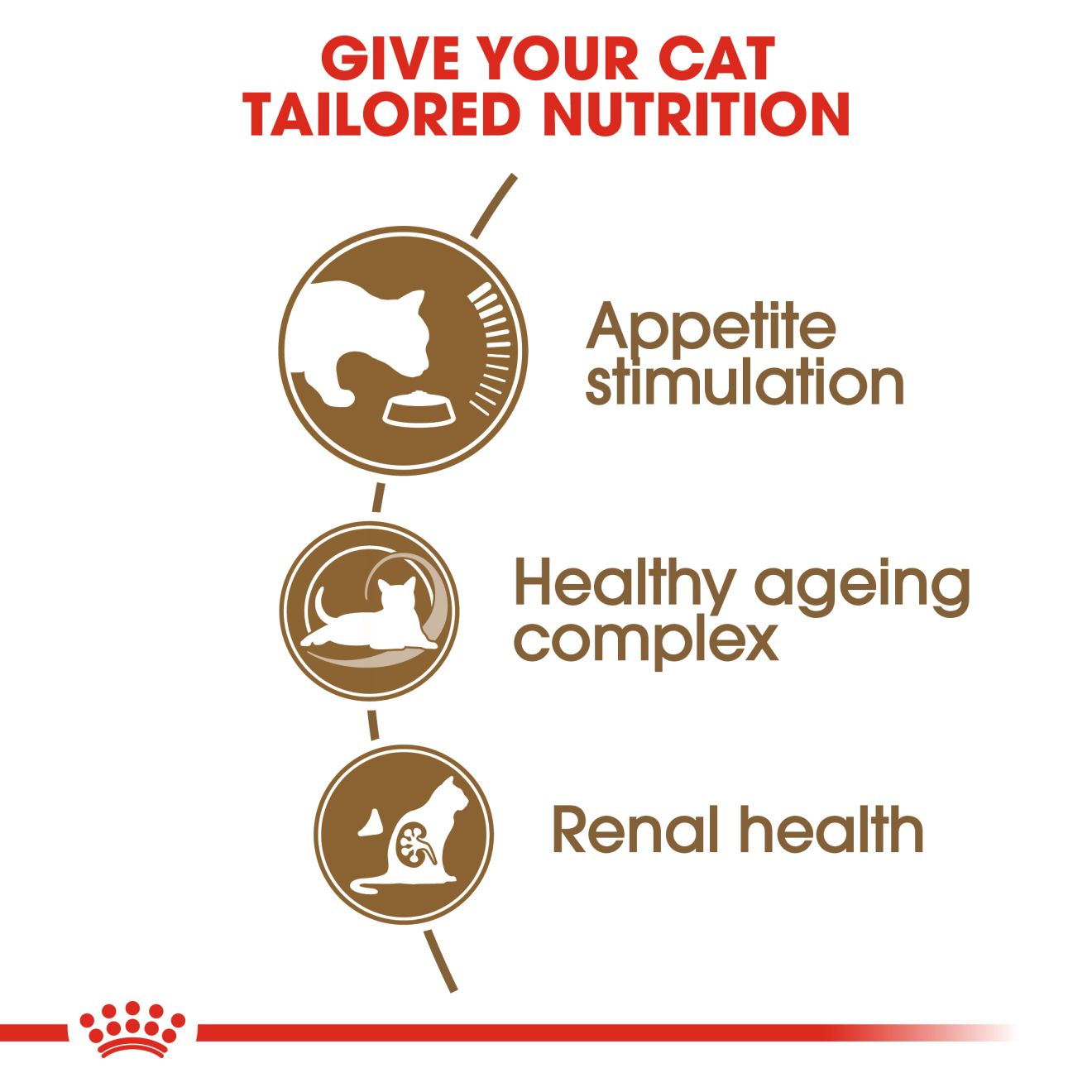 royal canin feline ageing 12