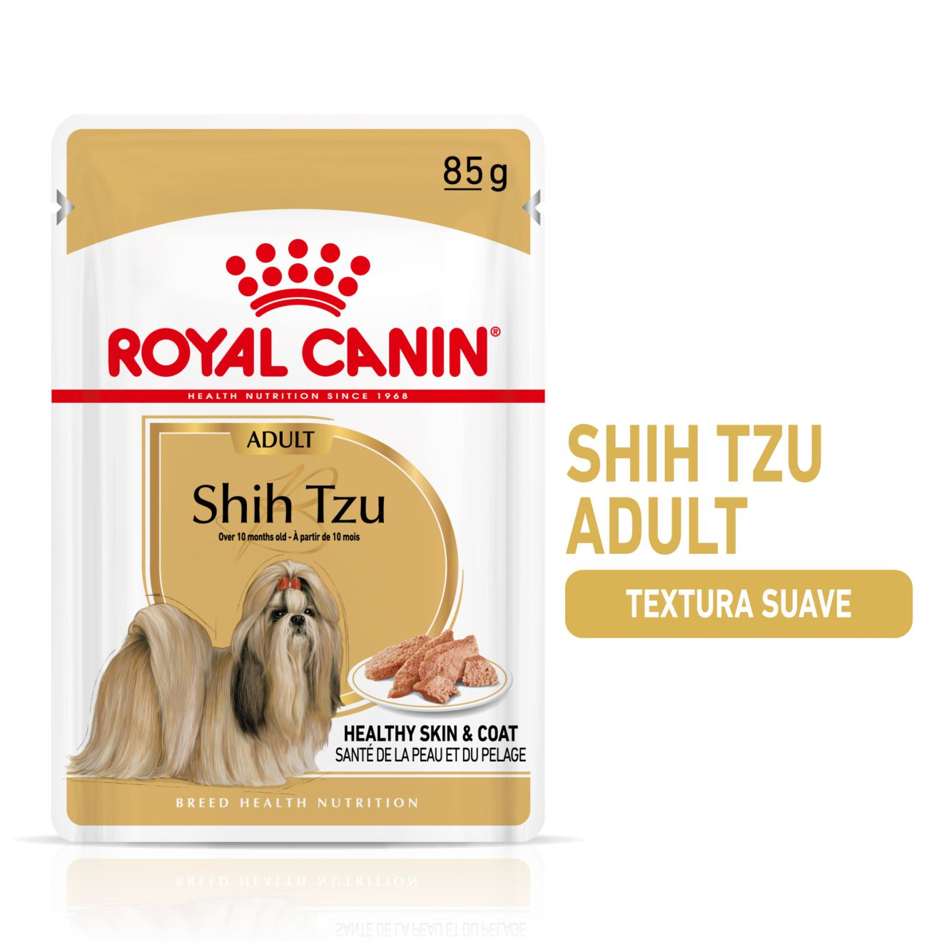 Shih Tzu