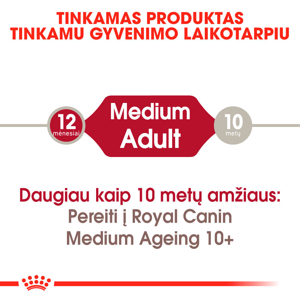 Medium Adult