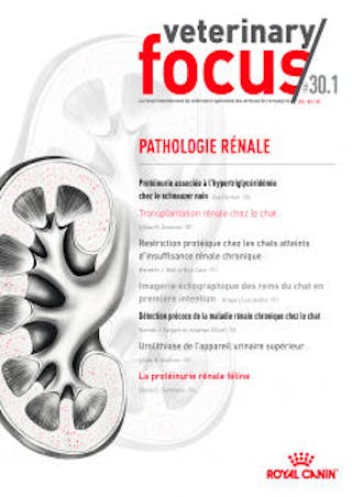 Pathologie rénale