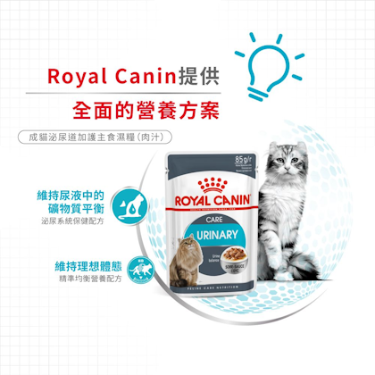 Royal-Canin-_成貓泌尿道加護主食濕糧_正方形_HK_03