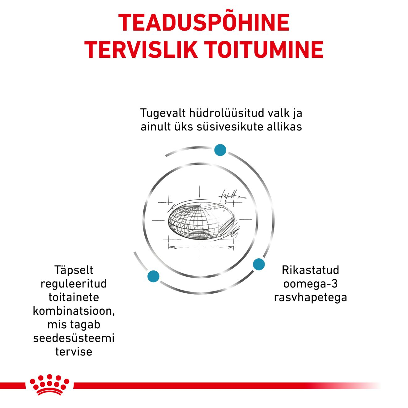 Royal Canin Hypoallergenic Dog kuivtoit