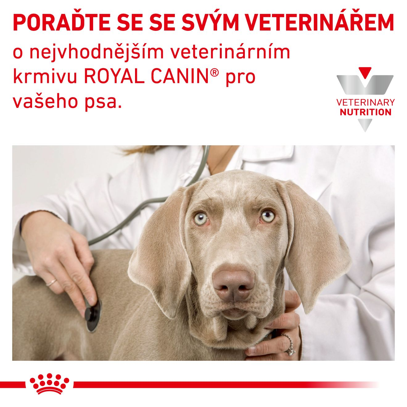 VHN Dog Hypoallergenic