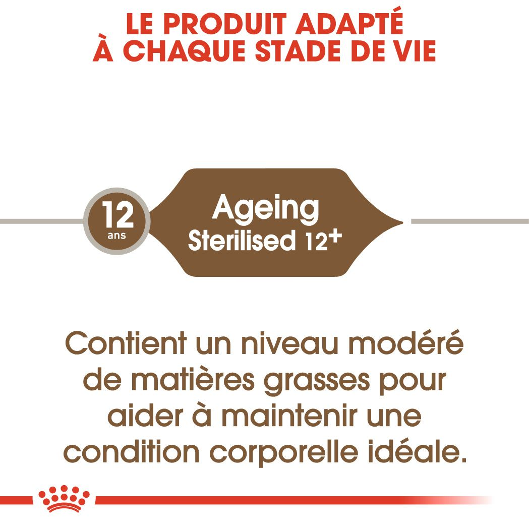 Ageing Sterilised 12+
