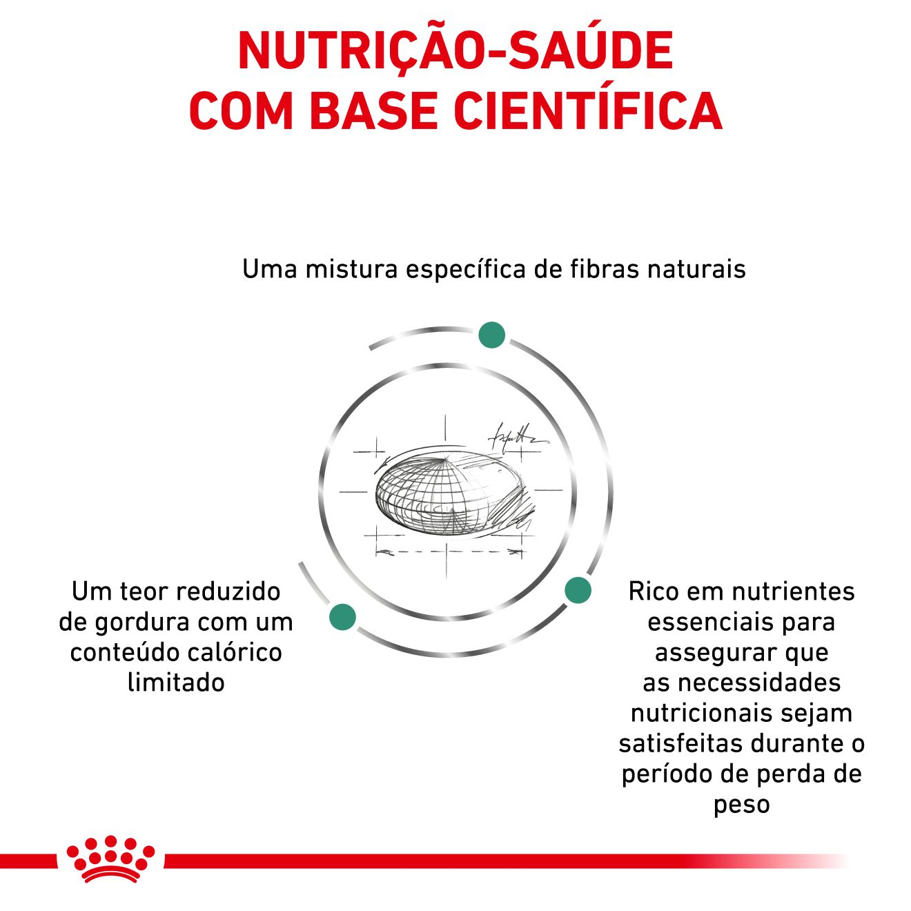 Satiety Weight Management