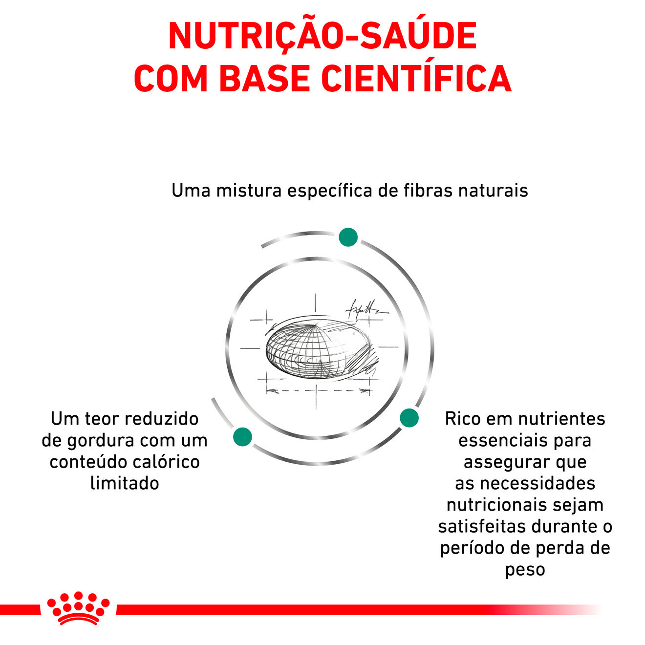 Satiety Weight Management