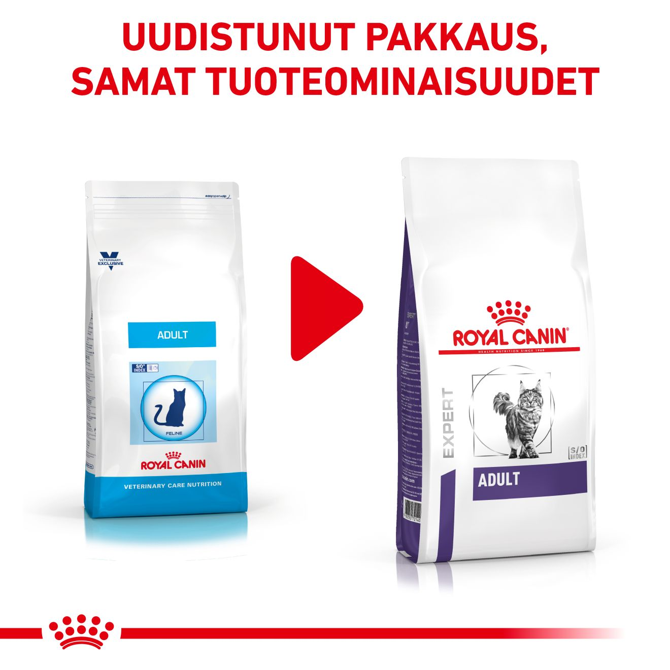Health Adult