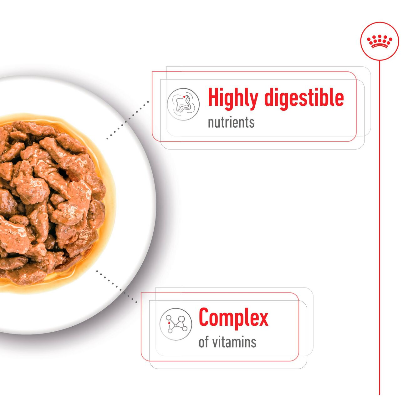 Mini Adult Morsels In Gravy