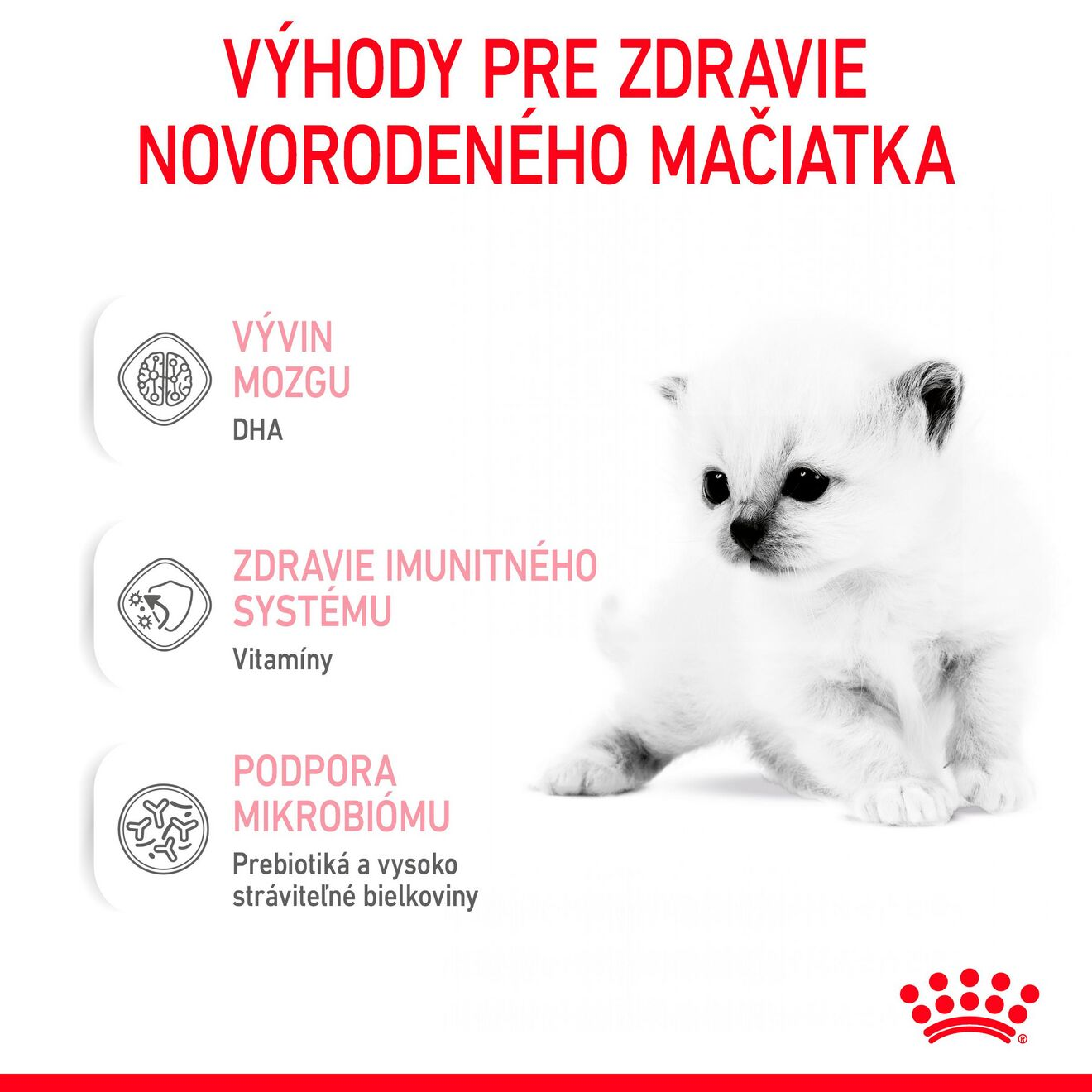 Babycat Milk