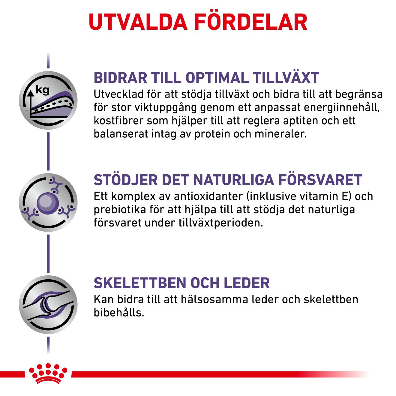 Health Neutered Junior Large Dog