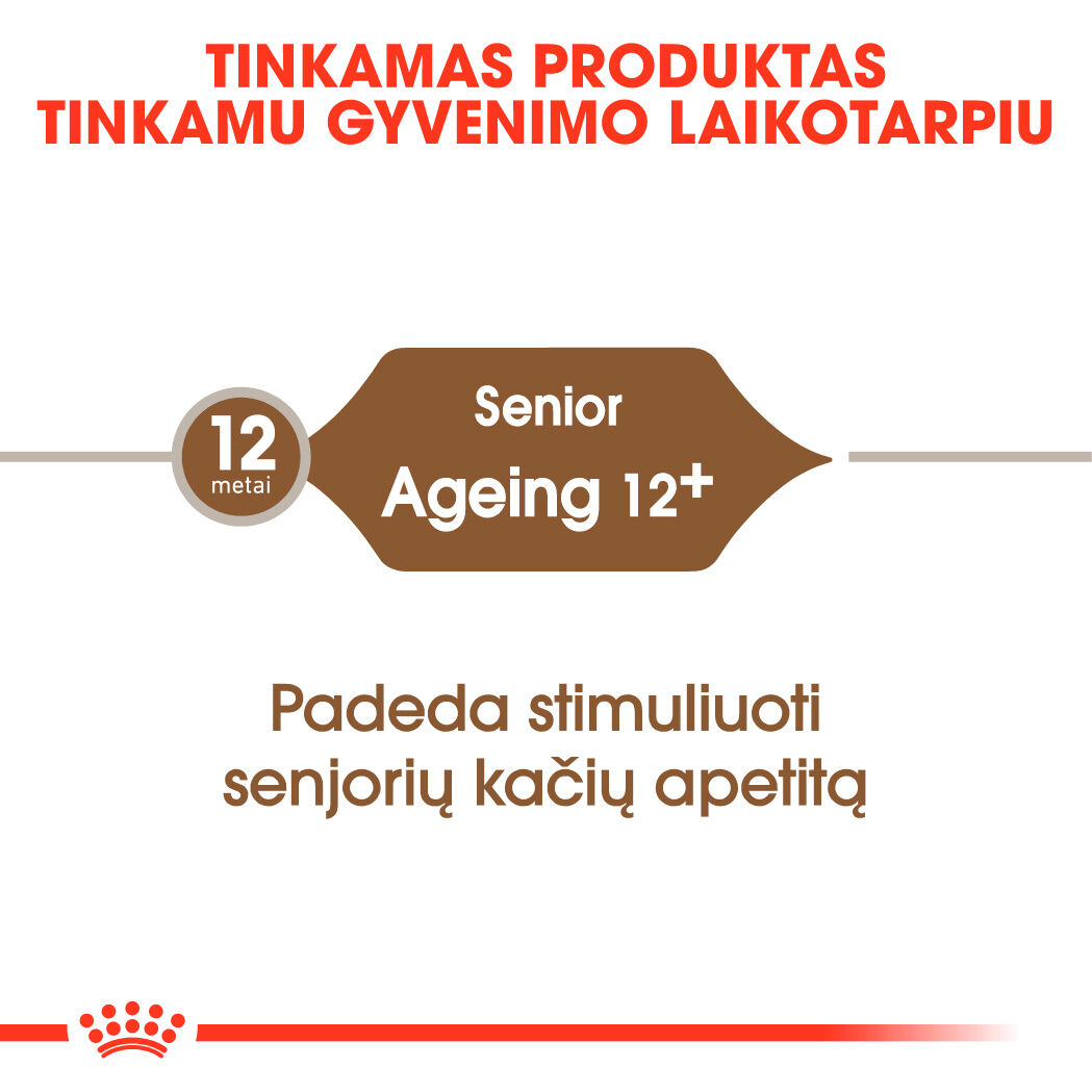 Ageing 12+