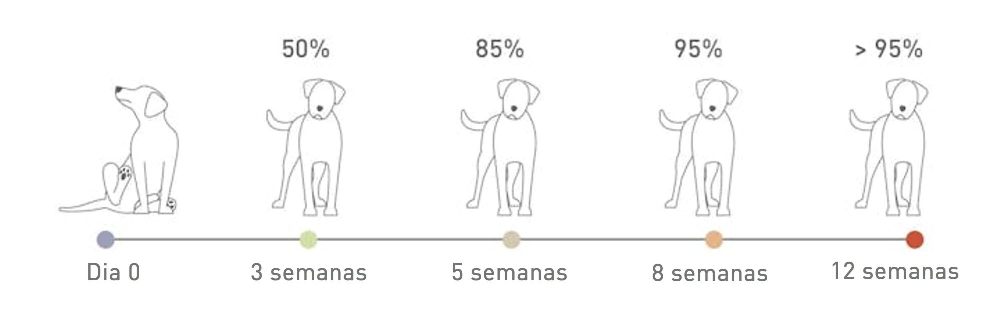 Porcentagem de melhora clínica associada ao tempo de realização do teste com a dieta de eliminação