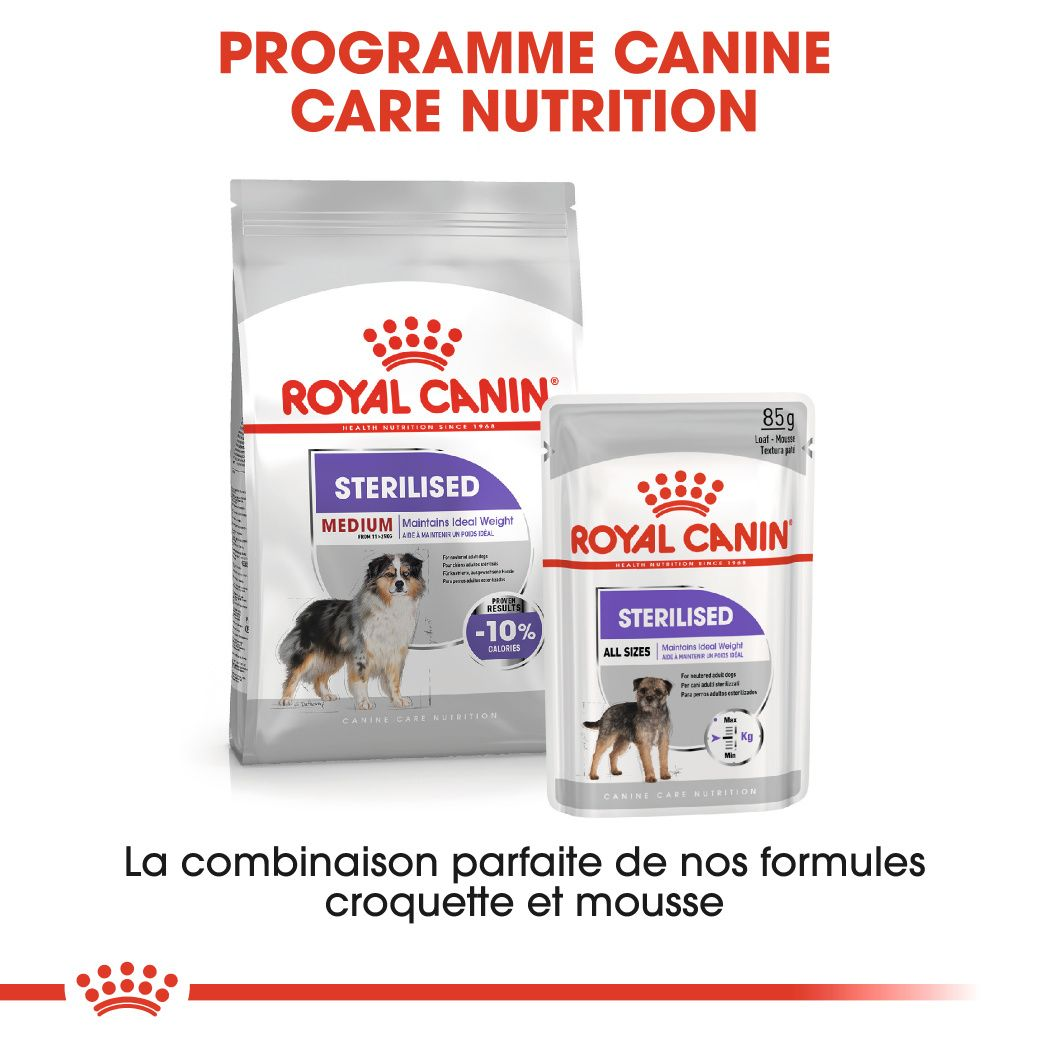 Croquettes pour chiens stérilisés de +25 kg, Boutique Royal Canin