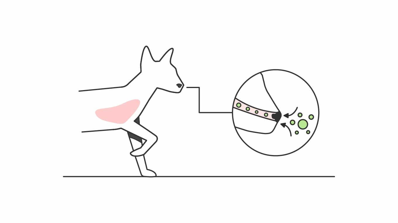 Illustration of cat breathing germs